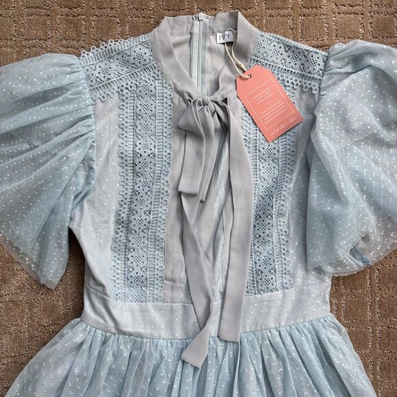 Ivy City Co Kate Dress Women's M Light Blue Flutter Sleeves Swiss Dot Whimsy NWT - Picture 3 of 9